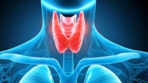 Thyroid Function and the Perimenopausal Transition