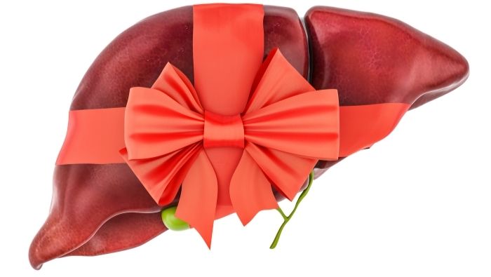 Insulin Resistance and Fatty Liver in Women The Hidden Connection